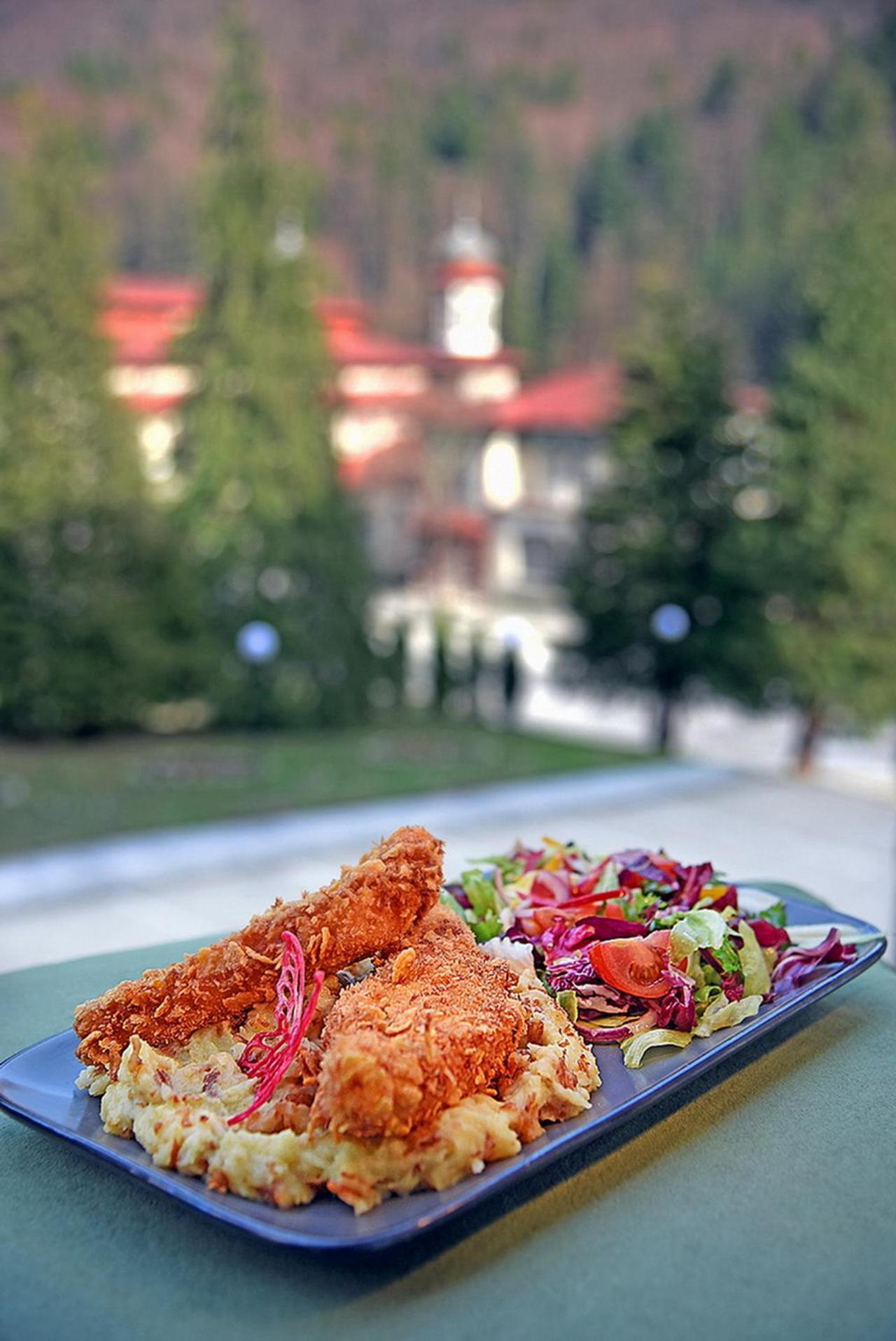 Hotel Moldavia 슬래닉몰도바 외부 사진